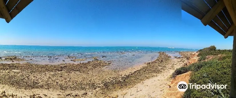 Bahia de Cádiz Natural Park