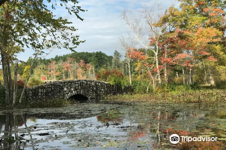 Mass Audubon's Ipswich River Wildlife Sanctuary