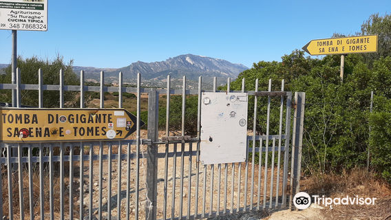Giants' grave of S'Ena'e Thomes