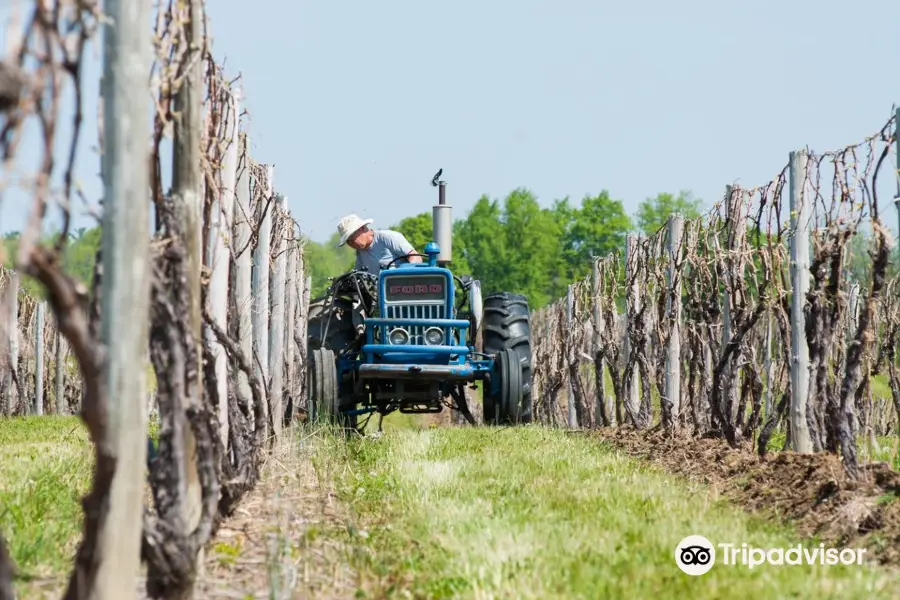 Hunt Country Vineyards