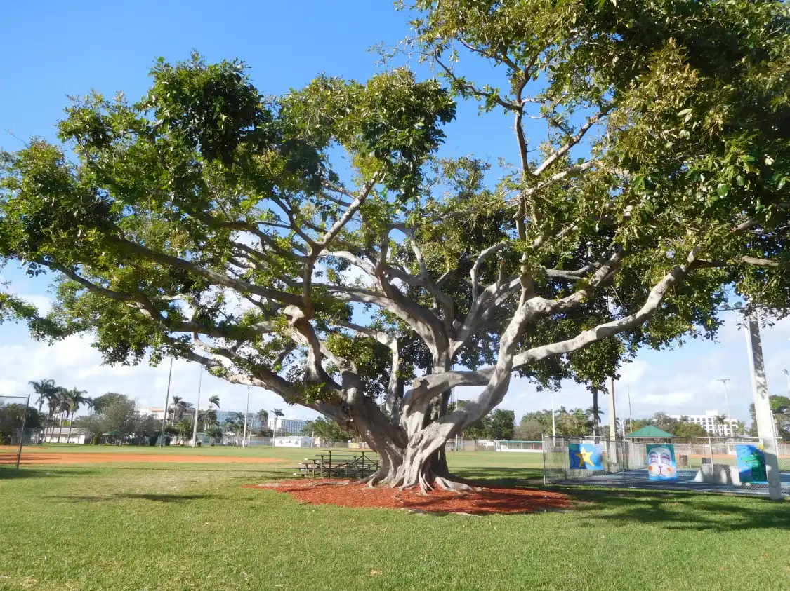 Các khách sạn gần Frost Park