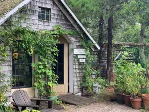 Cape Cod Lavender Farm