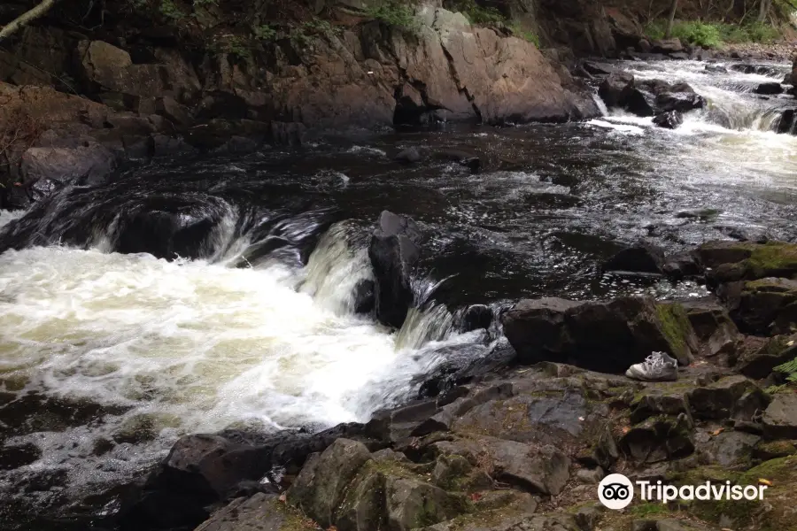 Brook's Falls