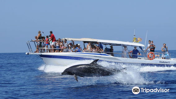 Maritima Acantilados