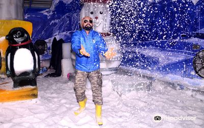 Snow Park, Goa