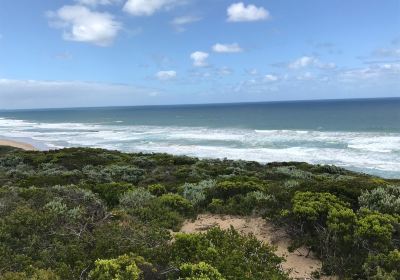 Portsea Back Beach