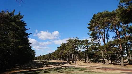 紫カントリークラブ あやめコース