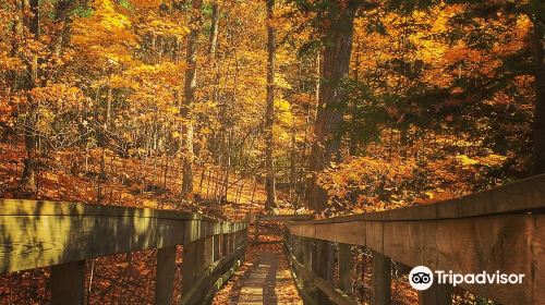 Kortright Centre for Conservation