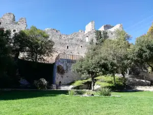 Botanical Garden of Santa Catalina