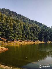 Dal Lake