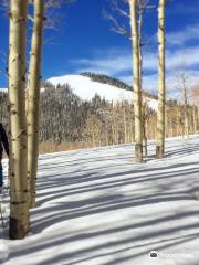 Steamboat Backcountry Adventures