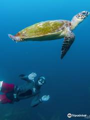 Fathom Freediving Bali