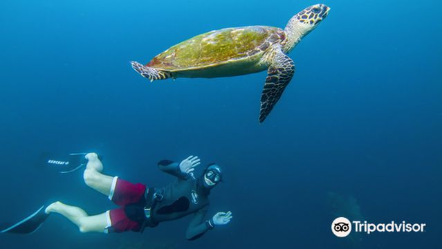 Fathom Freedive Bali
