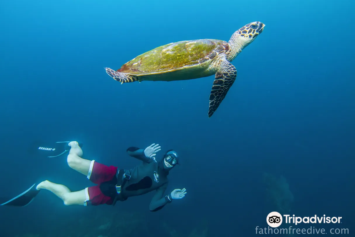 1_Fathom Freediving Bali