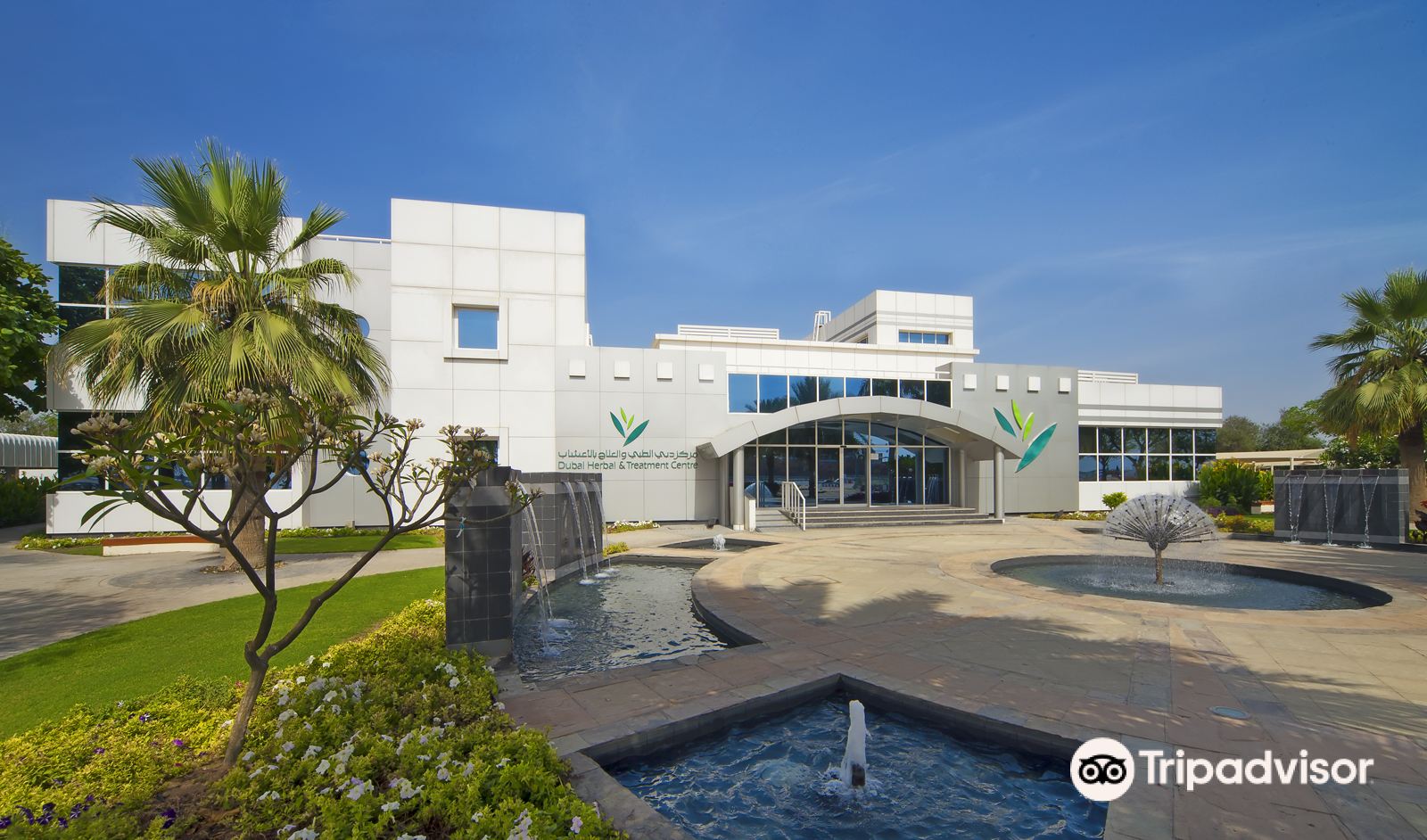 Dubai Herbal And Treatment Centre Tickets, Opening Hours, Reviews