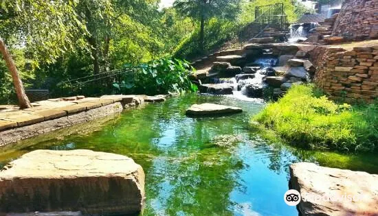 Congaree Vista