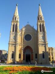 Kathedrale von Curitiba