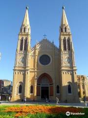 Catedral Basilica Menor Nossa Senhora Da Luz