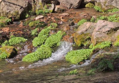 Mount Shasta City Park