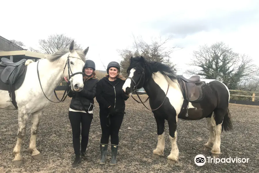 Margaret Haes Riding Centre