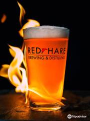 Red Hare Brewing Company