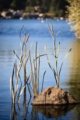 Hôtels à : Lake Oswego