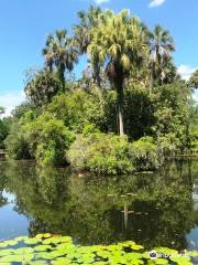 Bok Tower Gardens