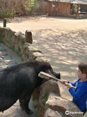 Naturschutz-Tierpark Görlitz