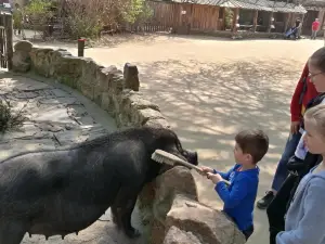 Naturschutz-Tierpark Görlitz