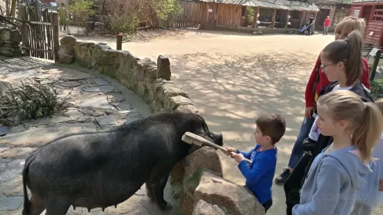 Naturschutz-Tierpark Görlitz