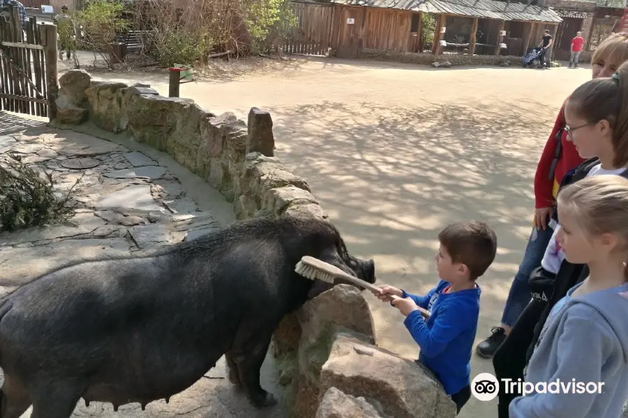 Naturschutz Tierpark Gorlitz