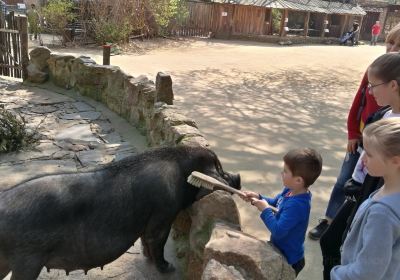 Naturschutz-Tierpark Görlitz