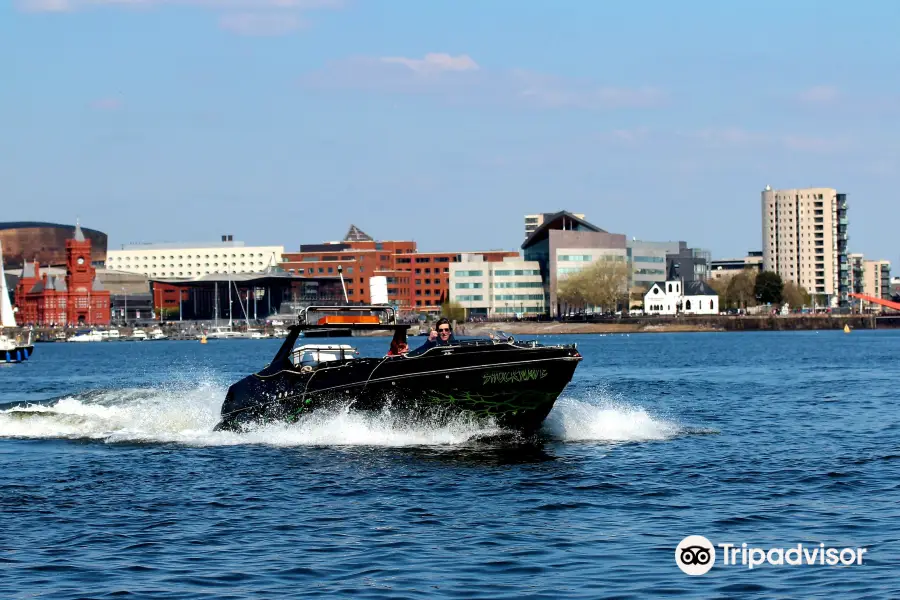 Cardiff Sea Safaris