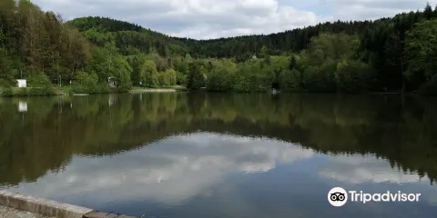 Freizeitgebiet Waldsee