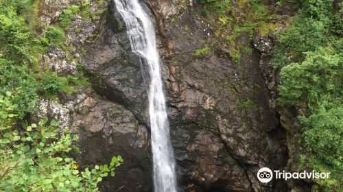 Falls of Foyers