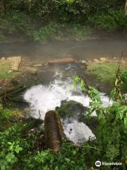 Norfork National Fish Hatchery