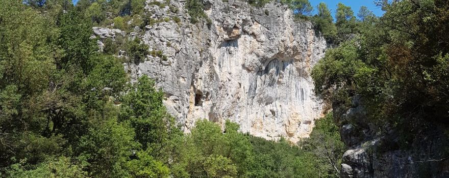 Correns