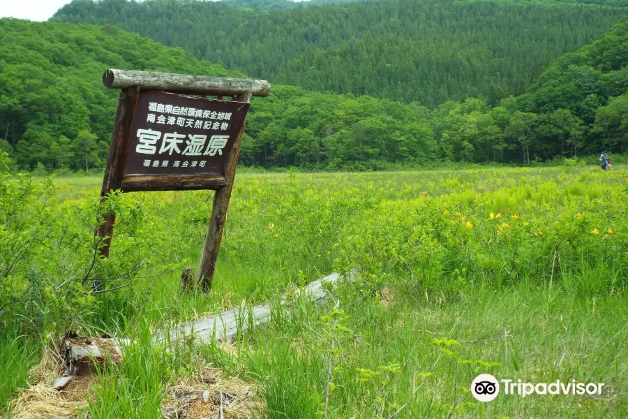Miyatoko Wetland