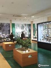 Daisen Museum of Nature and History