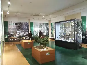 Daisen Museum of Nature and History