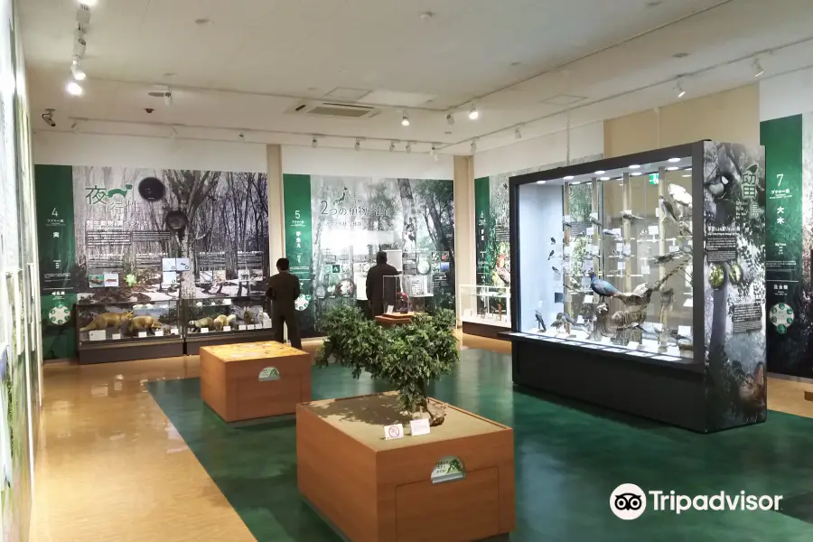Daisen Museum of Nature and History