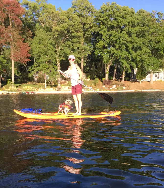 코번트리 타운쉽