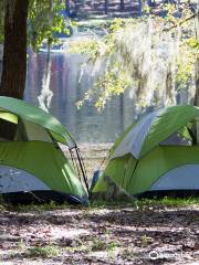 Spirit of the Suwannee Music Park & Campground