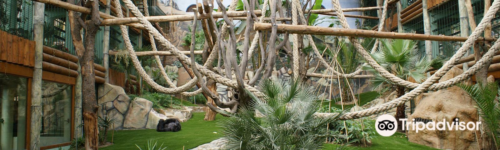 LoireTransport local