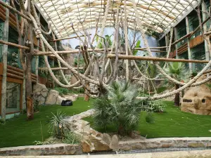 Espace Zoologique De Saint Martin La Plaine