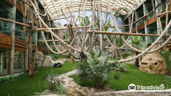Espace Zoologique De Saint Martin La Plaine