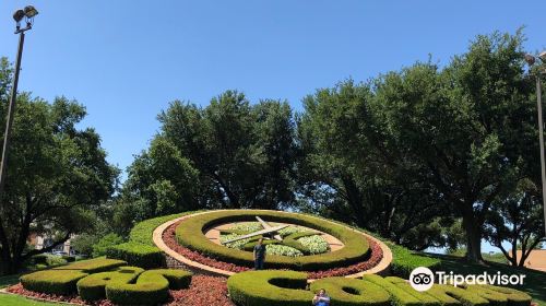 Las Colinas Flower Clock