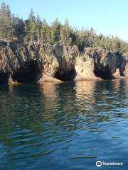 Sail Lunenburg with Star Charters