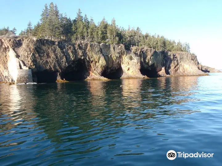 Sail Lunenburg with Star Charters