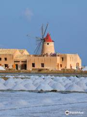 Saline of the Laguna Marsala